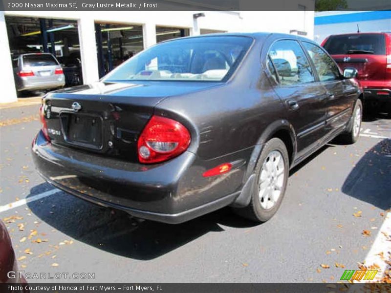 Gray Lustre Metallic / Frost 2000 Nissan Maxima SE