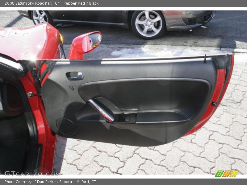 Door Panel of 2008 Sky Roadster