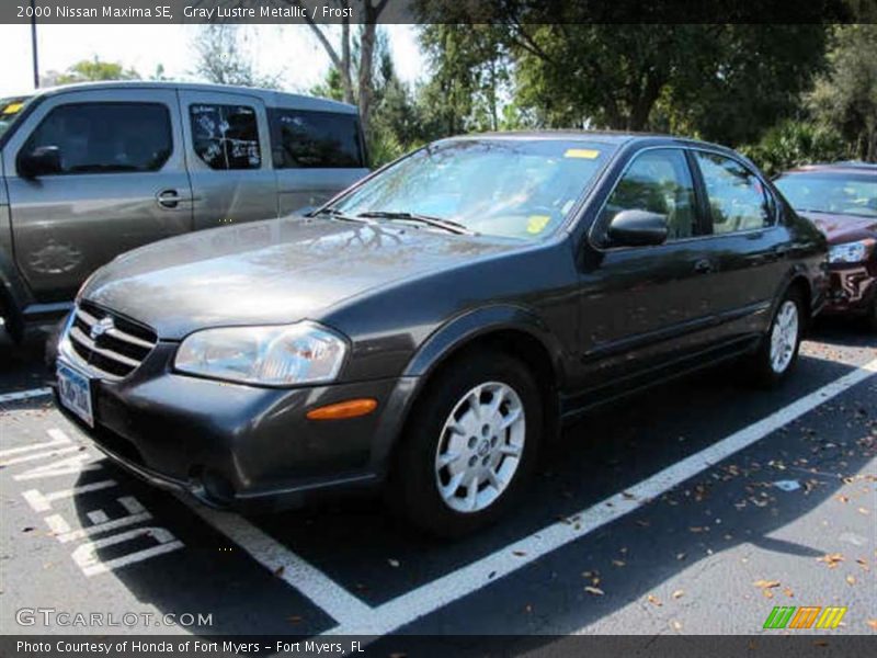 Gray Lustre Metallic / Frost 2000 Nissan Maxima SE