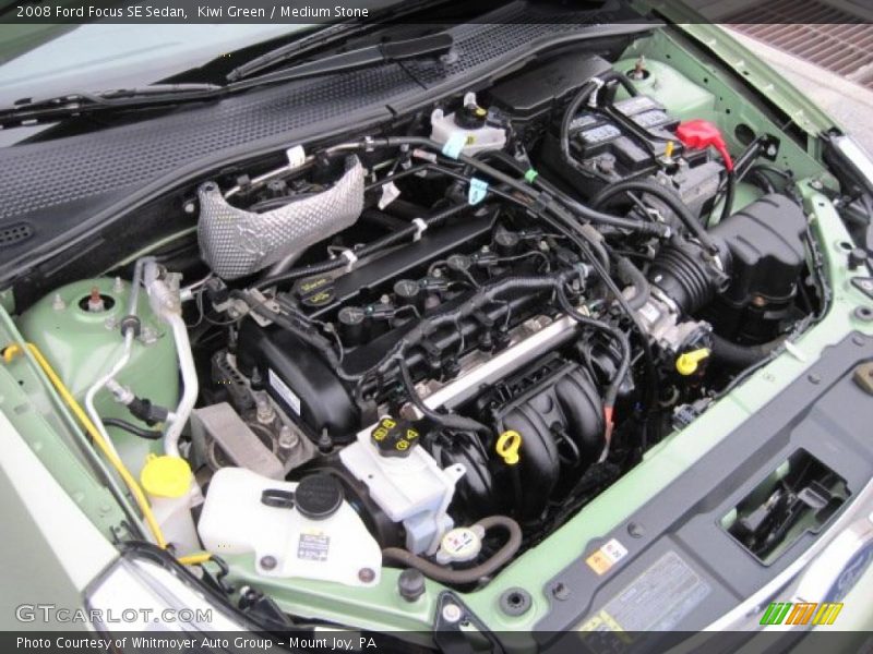 Kiwi Green / Medium Stone 2008 Ford Focus SE Sedan
