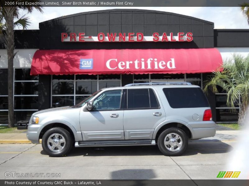 Silver Birch Metallic / Medium Flint Grey 2006 Ford Expedition Limited