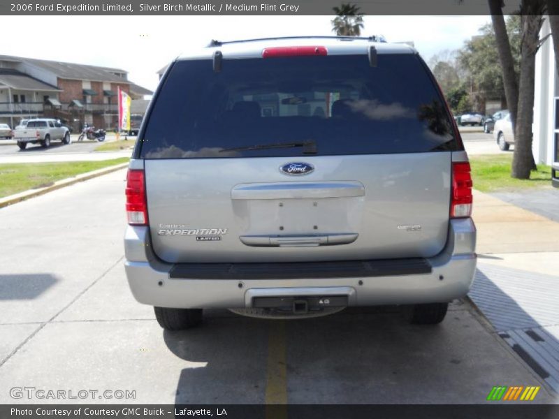 Silver Birch Metallic / Medium Flint Grey 2006 Ford Expedition Limited