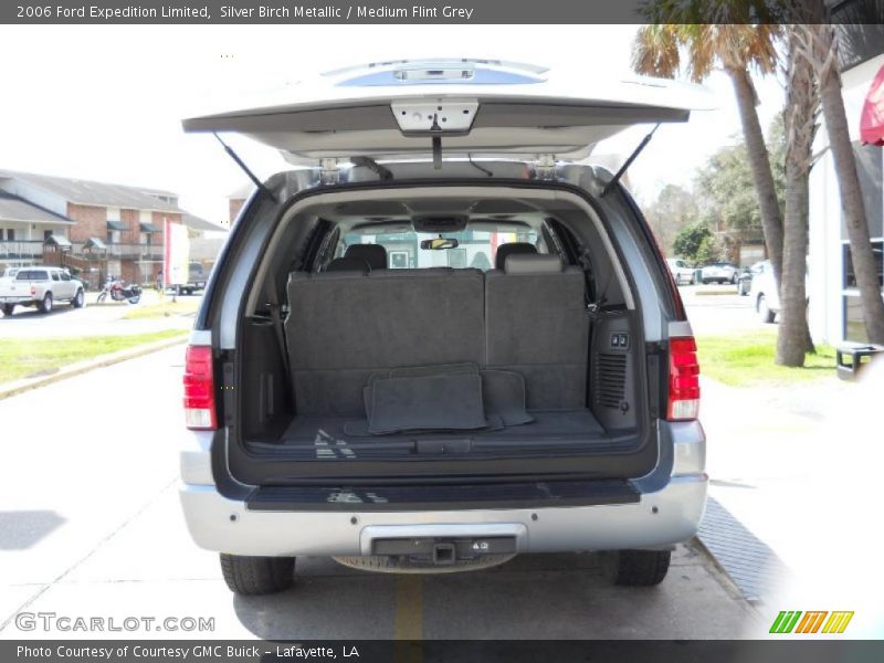 Silver Birch Metallic / Medium Flint Grey 2006 Ford Expedition Limited