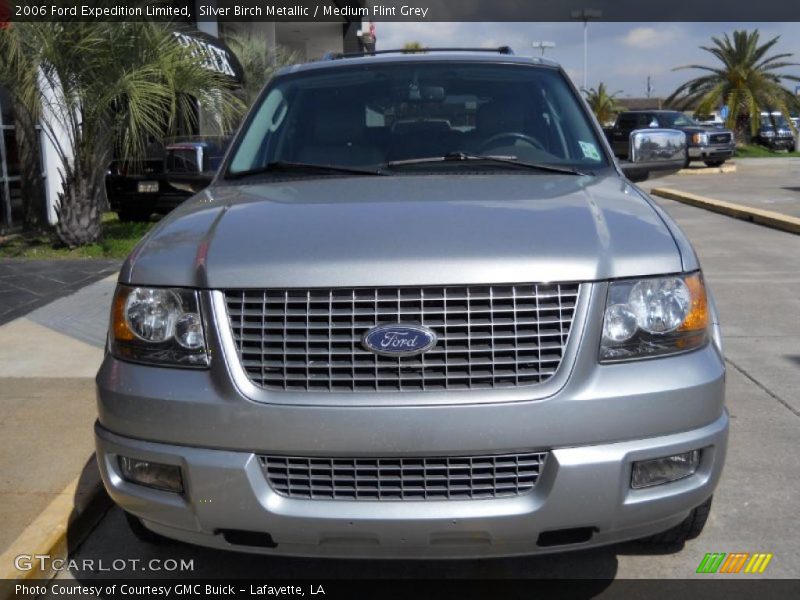 Silver Birch Metallic / Medium Flint Grey 2006 Ford Expedition Limited