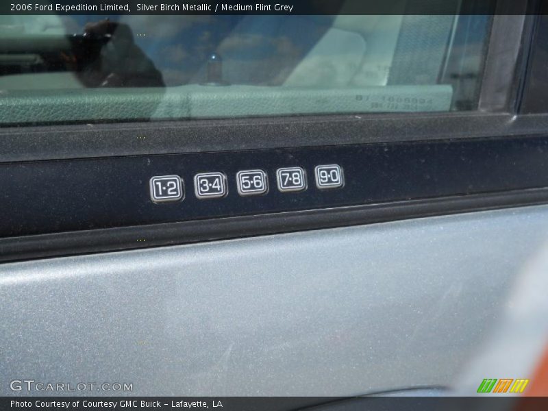 Silver Birch Metallic / Medium Flint Grey 2006 Ford Expedition Limited