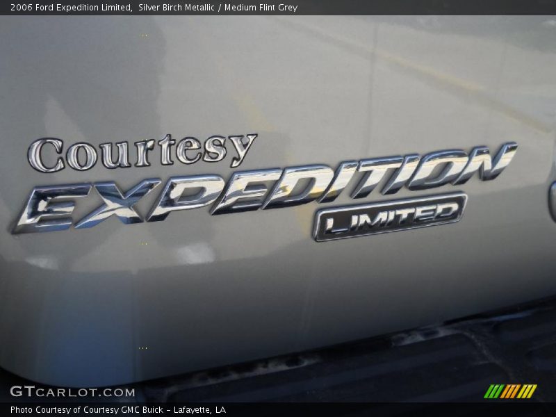 Silver Birch Metallic / Medium Flint Grey 2006 Ford Expedition Limited