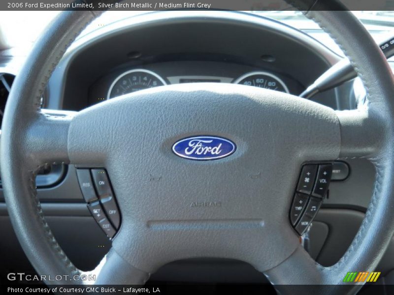 Silver Birch Metallic / Medium Flint Grey 2006 Ford Expedition Limited
