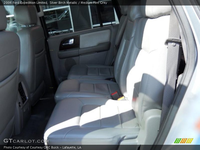Silver Birch Metallic / Medium Flint Grey 2006 Ford Expedition Limited