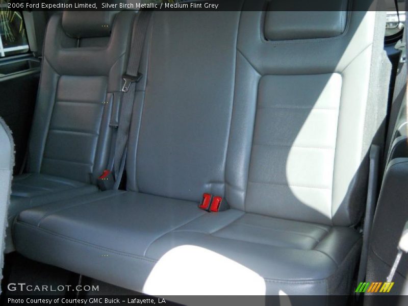 Silver Birch Metallic / Medium Flint Grey 2006 Ford Expedition Limited