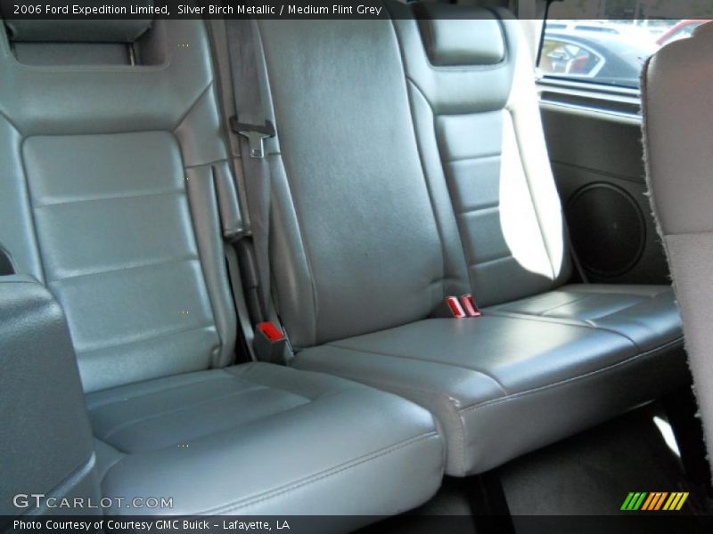 Silver Birch Metallic / Medium Flint Grey 2006 Ford Expedition Limited