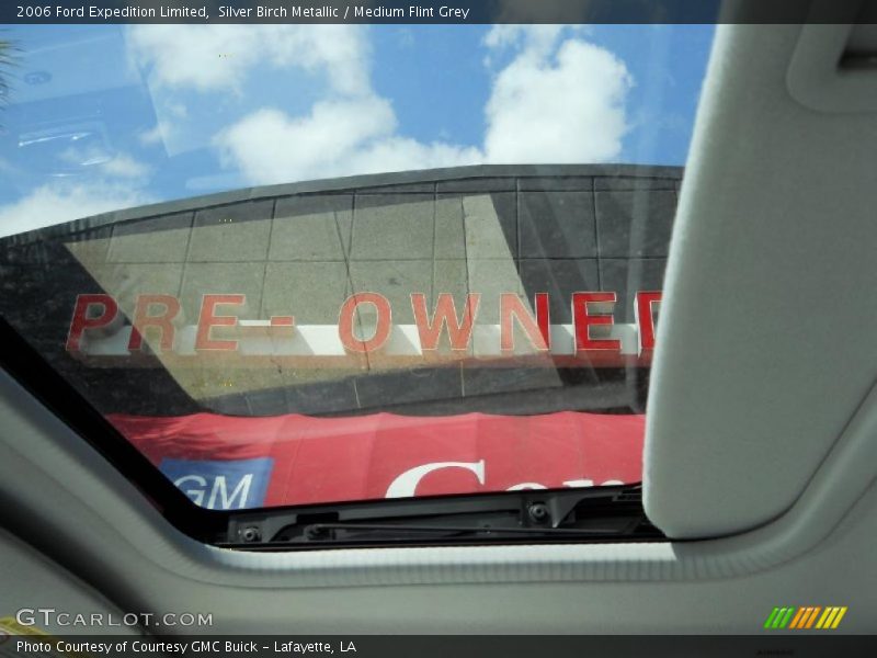 Silver Birch Metallic / Medium Flint Grey 2006 Ford Expedition Limited