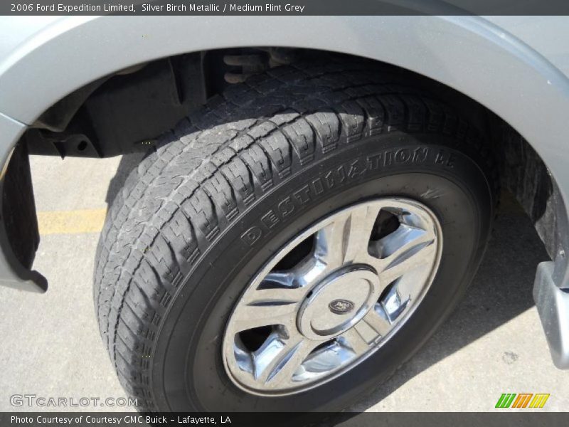 Silver Birch Metallic / Medium Flint Grey 2006 Ford Expedition Limited