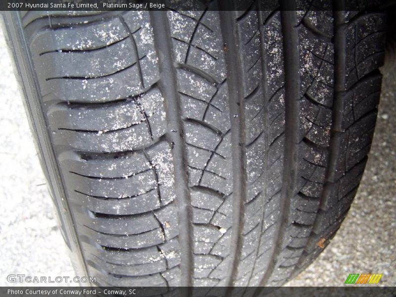 Platinum Sage / Beige 2007 Hyundai Santa Fe Limited