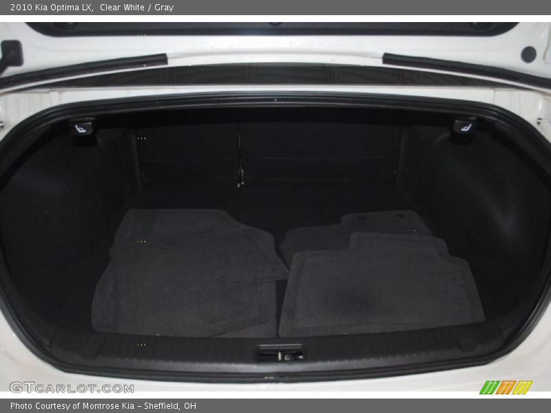 Clear White / Gray 2010 Kia Optima LX