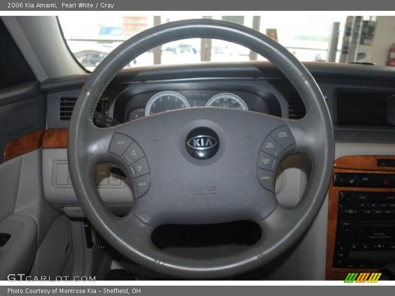 2006 Amanti  Steering Wheel