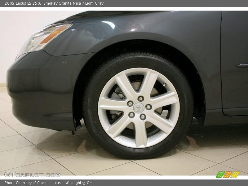 Smokey Granite Mica / Light Gray 2009 Lexus ES 350