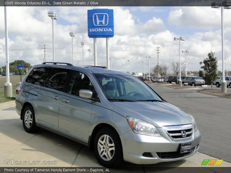 Slate Green Metallic / Olive 2005 Honda Odyssey EX-L