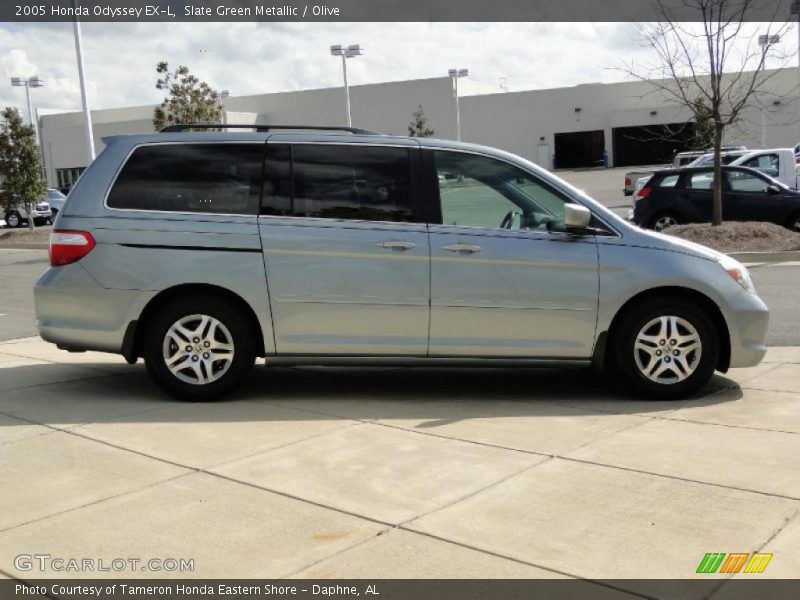 Slate Green Metallic / Olive 2005 Honda Odyssey EX-L
