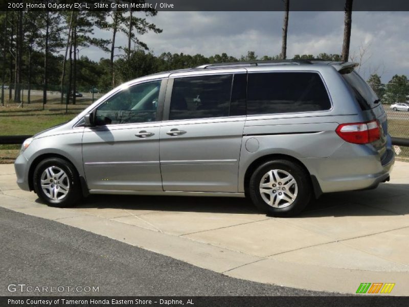 Slate Green Metallic / Olive 2005 Honda Odyssey EX-L