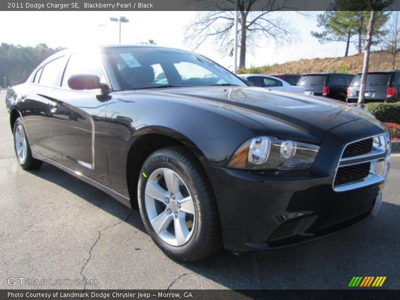 Blackberry Pearl / Black 2011 Dodge Charger SE