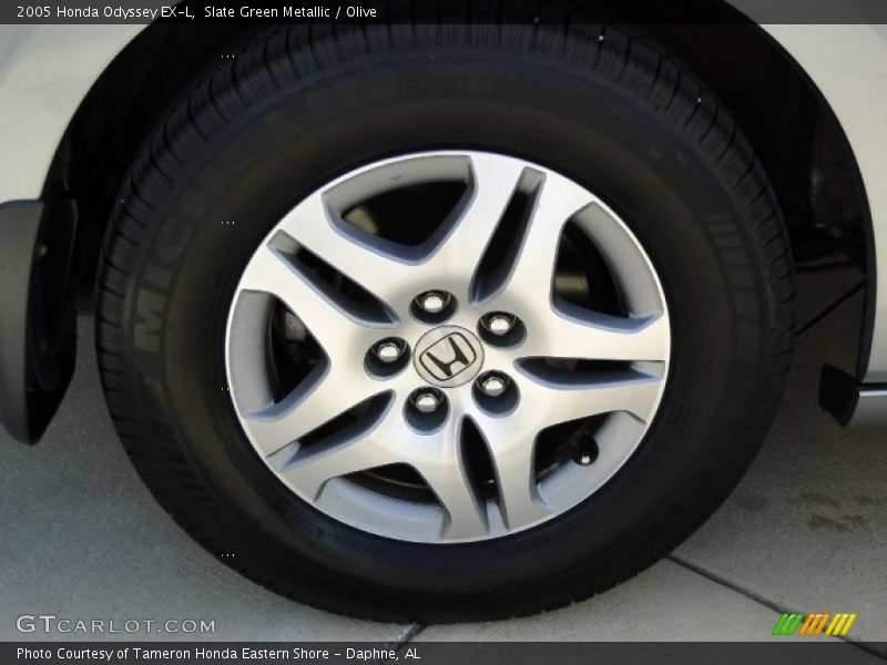 Slate Green Metallic / Olive 2005 Honda Odyssey EX-L