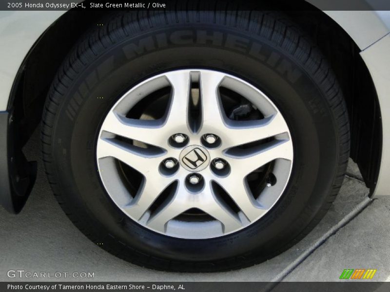 Slate Green Metallic / Olive 2005 Honda Odyssey EX-L