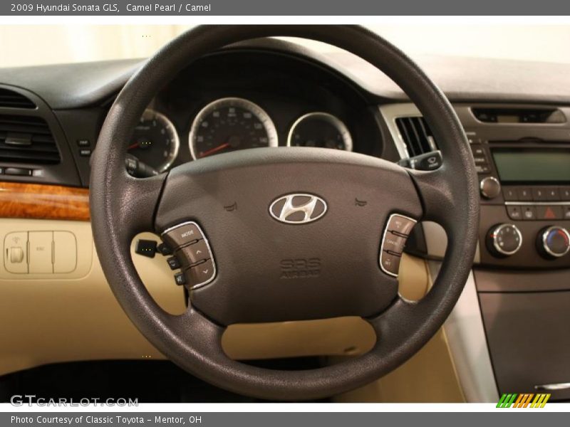 Camel Pearl / Camel 2009 Hyundai Sonata GLS