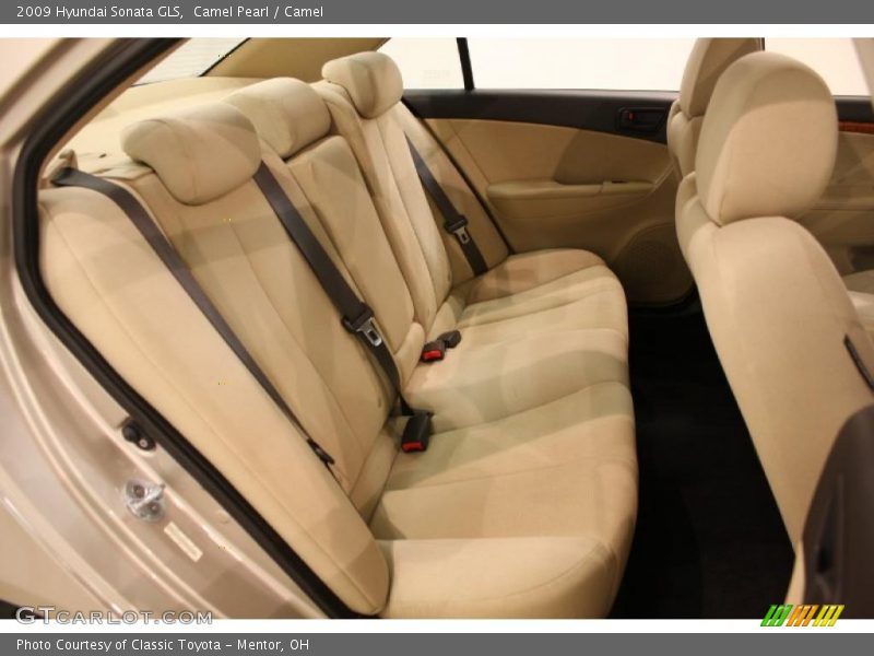 Camel Pearl / Camel 2009 Hyundai Sonata GLS