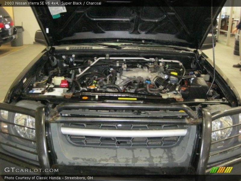 Super Black / Charcoal 2003 Nissan Xterra SE V6 4x4