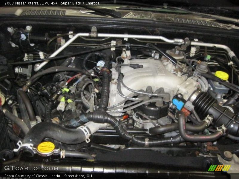 Super Black / Charcoal 2003 Nissan Xterra SE V6 4x4