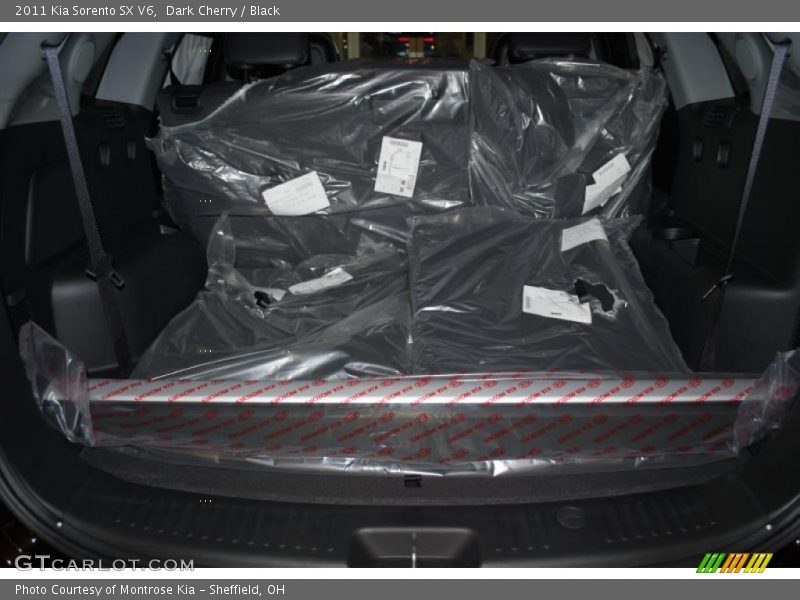 Dark Cherry / Black 2011 Kia Sorento SX V6