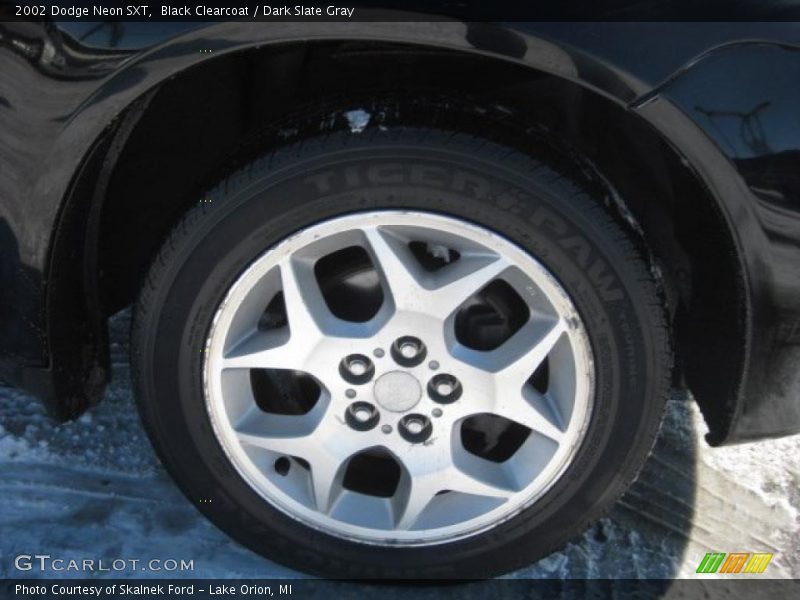 Black Clearcoat / Dark Slate Gray 2002 Dodge Neon SXT