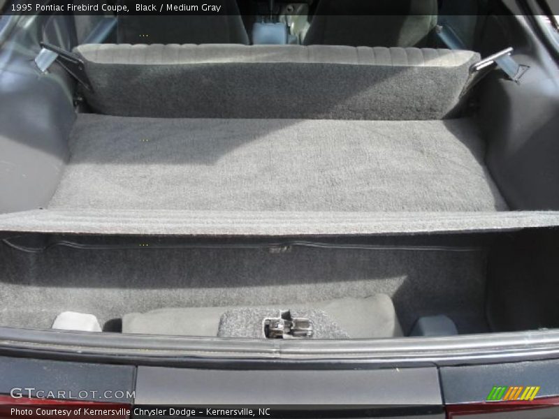 Black / Medium Gray 1995 Pontiac Firebird Coupe