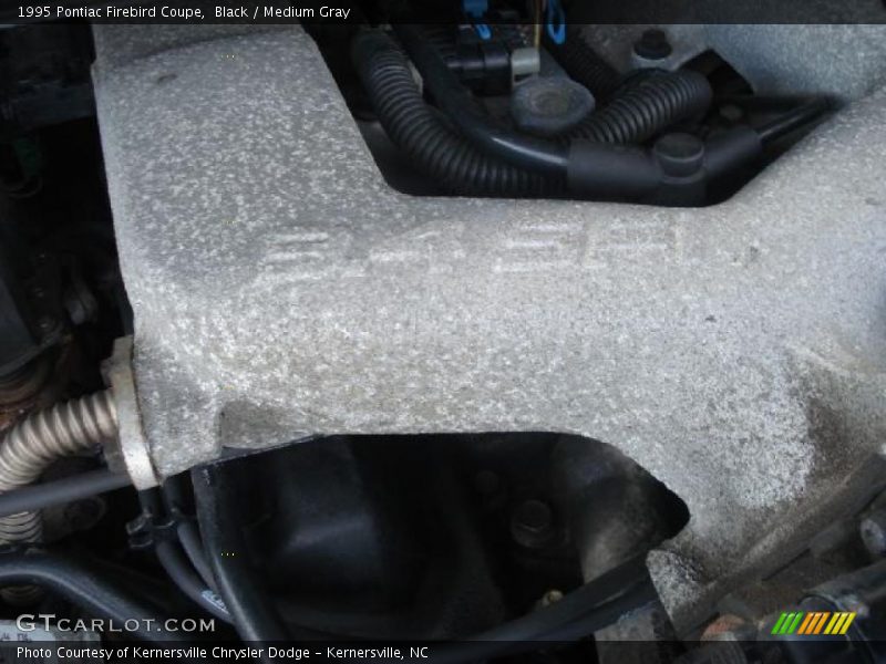 Black / Medium Gray 1995 Pontiac Firebird Coupe