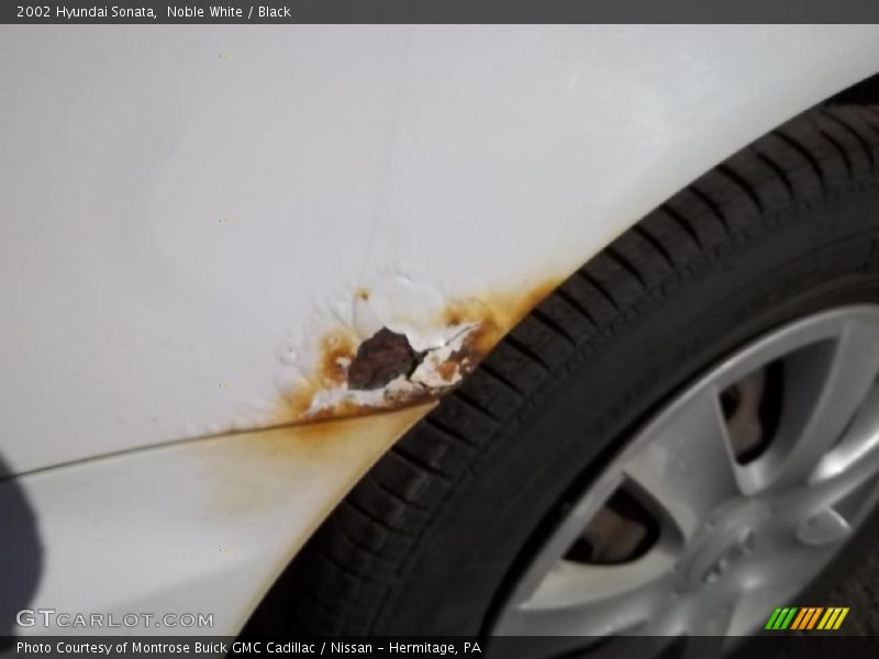 Noble White / Black 2002 Hyundai Sonata