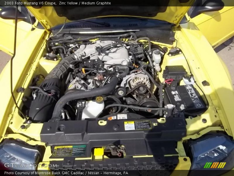 Zinc Yellow / Medium Graphite 2003 Ford Mustang V6 Coupe
