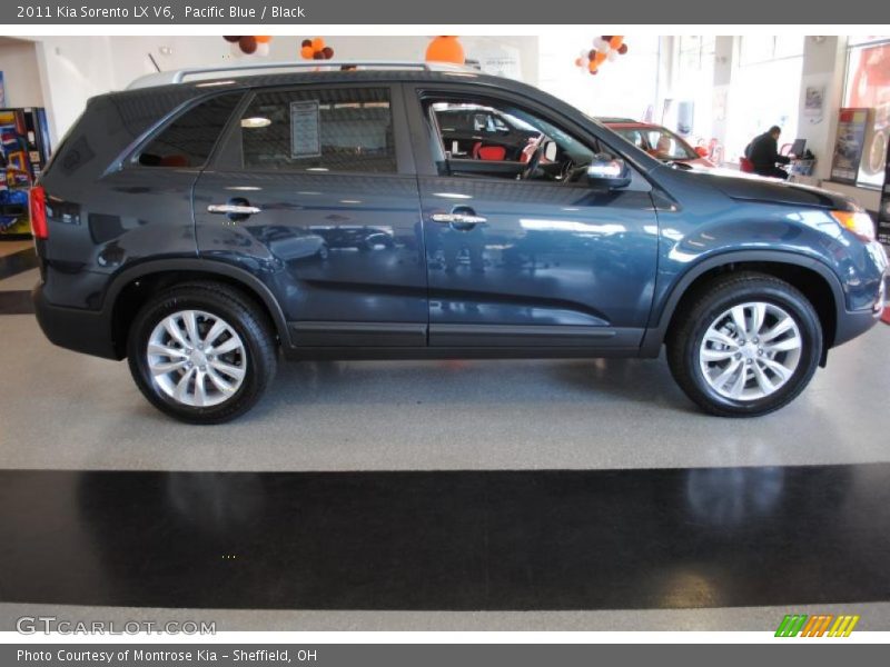 Pacific Blue / Black 2011 Kia Sorento LX V6