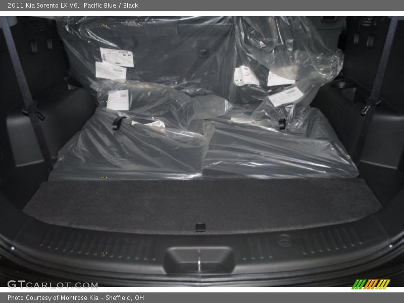 Pacific Blue / Black 2011 Kia Sorento LX V6