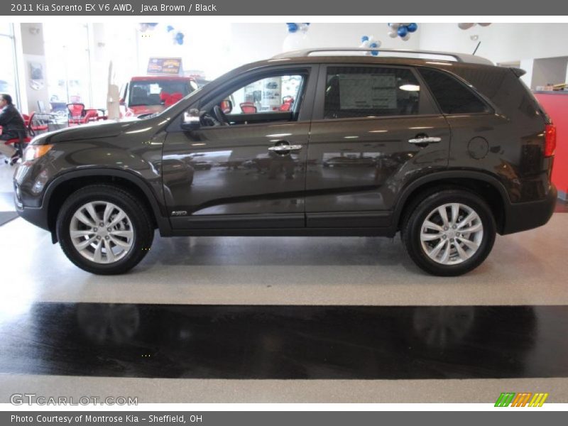 Java Brown / Black 2011 Kia Sorento EX V6 AWD