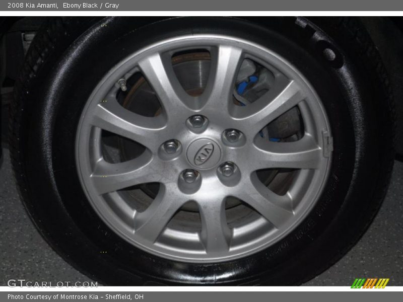 Ebony Black / Gray 2008 Kia Amanti