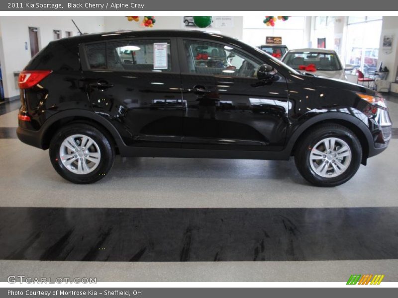 Black Cherry / Alpine Gray 2011 Kia Sportage