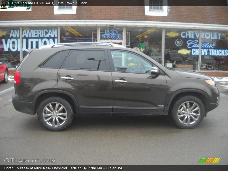 Java Brown / Black 2011 Kia Sorento EX V6 AWD
