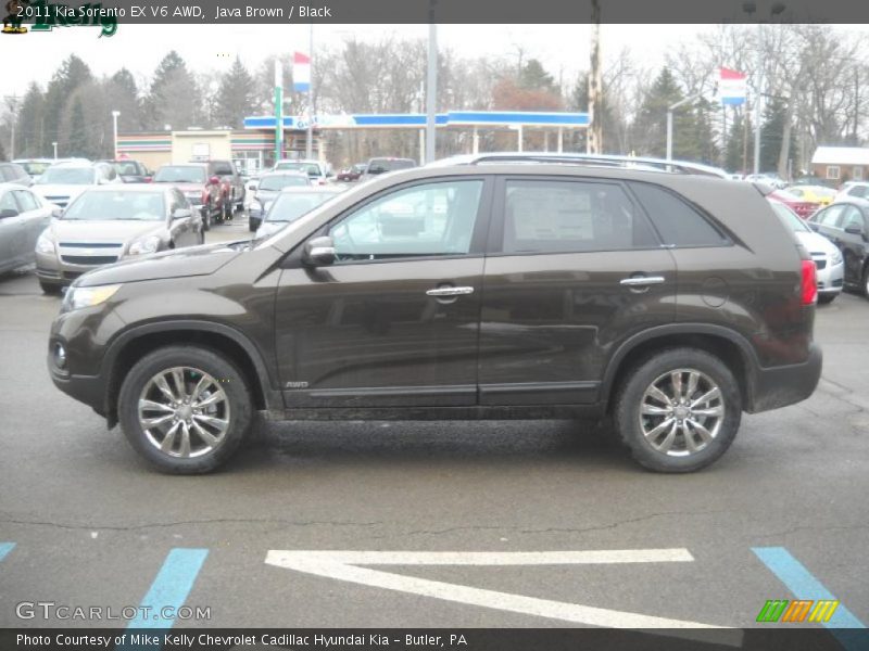 Java Brown / Black 2011 Kia Sorento EX V6 AWD
