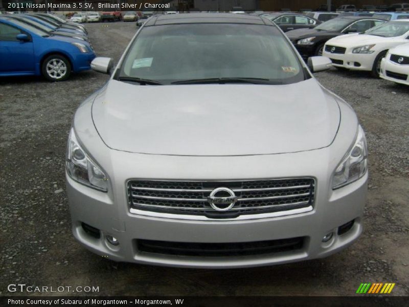 Brilliant Silver / Charcoal 2011 Nissan Maxima 3.5 SV