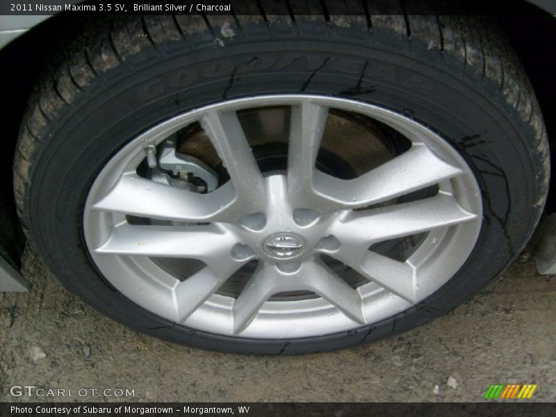Brilliant Silver / Charcoal 2011 Nissan Maxima 3.5 SV