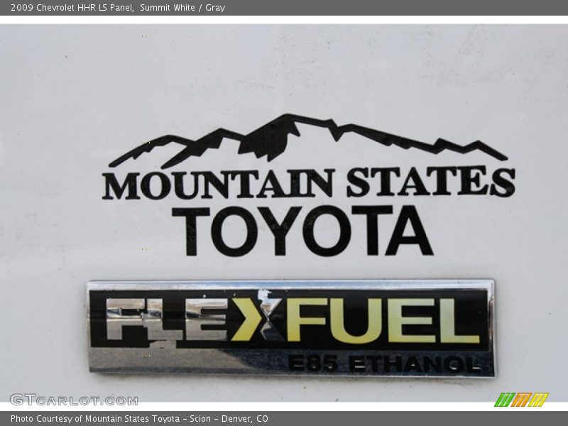 Summit White / Gray 2009 Chevrolet HHR LS Panel