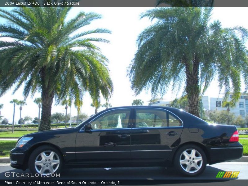 Black Onyx / Saddle 2004 Lexus LS 430