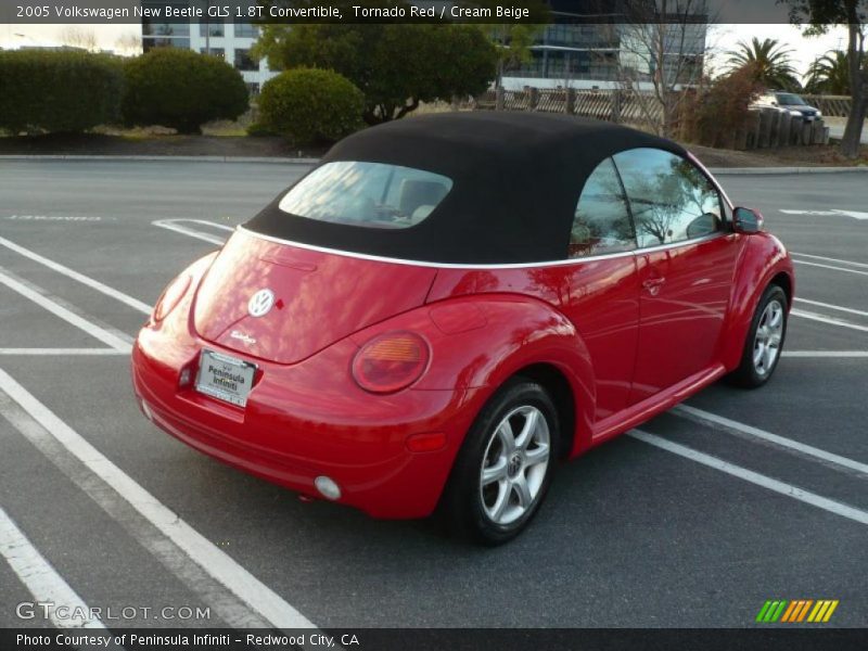 Tornado Red / Cream Beige 2005 Volkswagen New Beetle GLS 1.8T Convertible