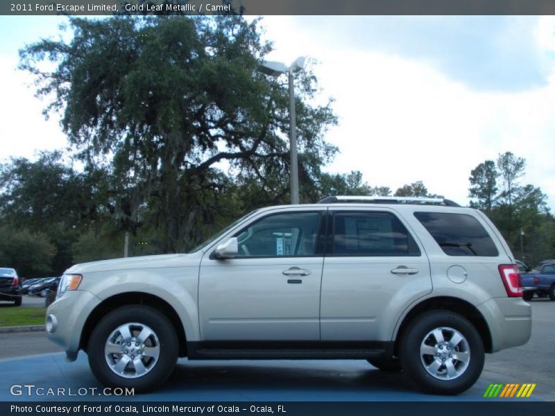 Gold Leaf Metallic / Camel 2011 Ford Escape Limited