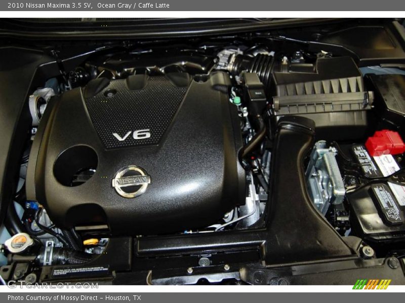 Ocean Gray / Caffe Latte 2010 Nissan Maxima 3.5 SV